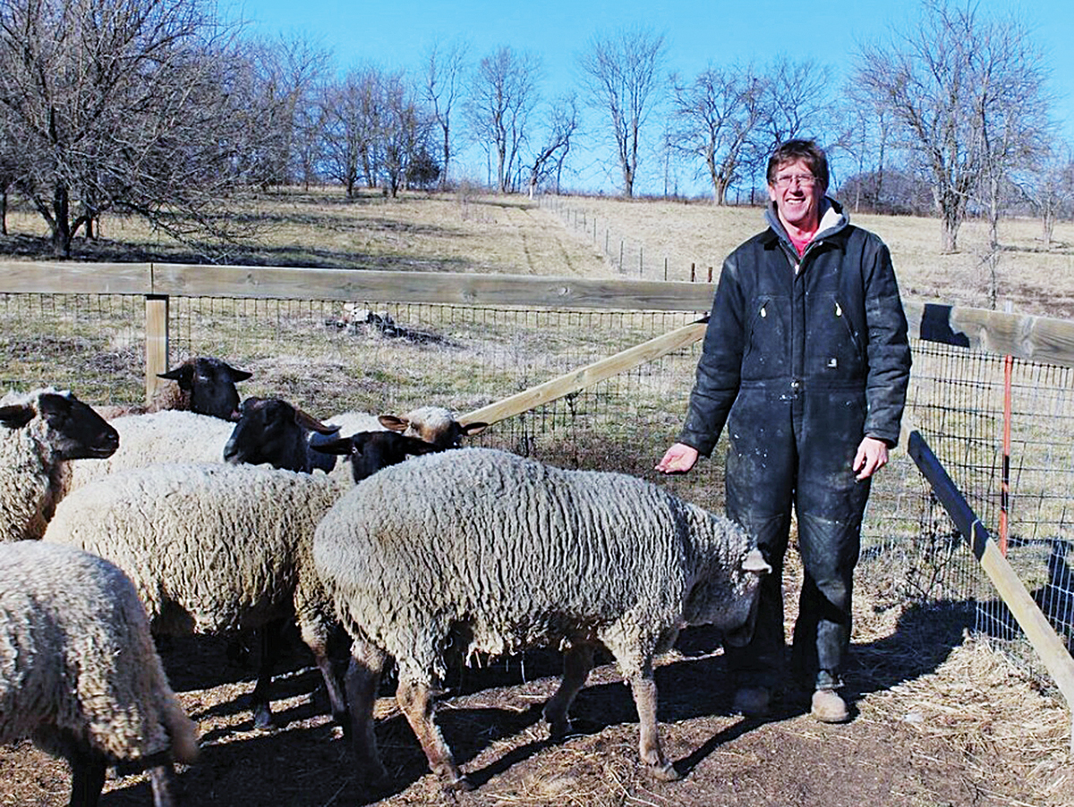 Profits from a ”Lamb Hub” — Hi-Ho Sheep Farm